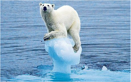 effects of global warming on humans and animals
